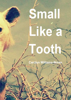 Small Like A Tooth / Carolyn Williams-Noren