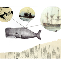 shipreck series collage print: whale