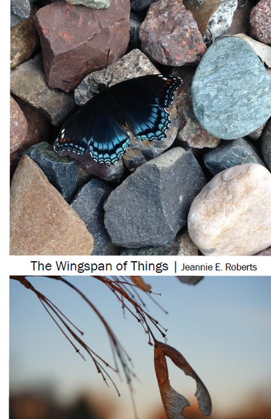 The Wingspan of Things | Jeannie E. Roberts